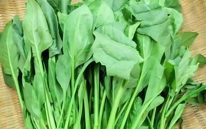 4 lợi ích cho sức khỏe khi ăn cải bó xôi cùng với tỏi