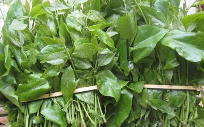 Những loại rau chỉ có theo mùa, bỏ lỡ phải đợi cả năm