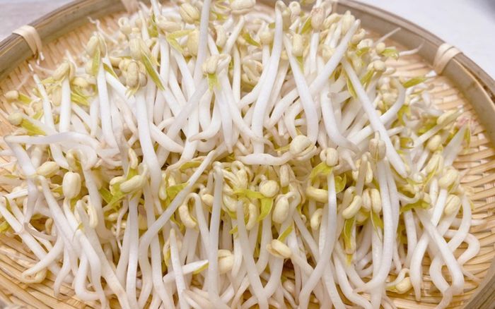 5 lợi ích sức khỏe khi ăn giá đỗ thường xuyên