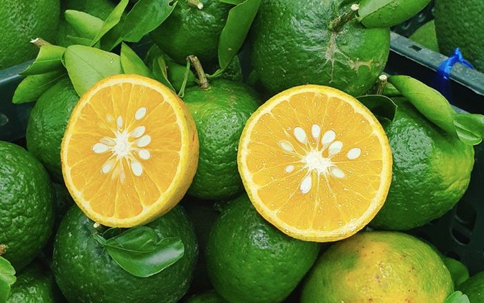 Không chỉ giàu vitamin C, cam còn mang đến 3 lợi ích bất ngờ cho sức khỏe
