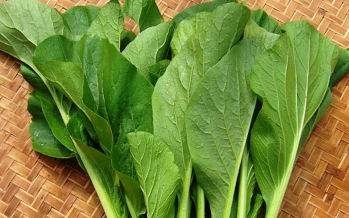 Bất ngờ với loại rau giàu vitamin C hơn cả cam, chợ Việt bán rẻ bèo