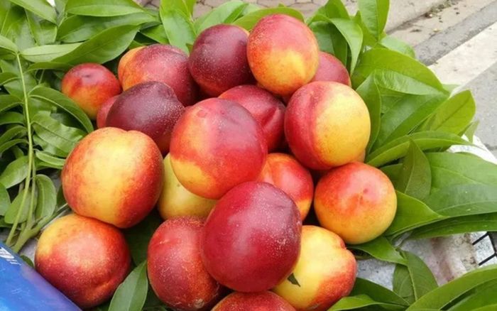 Thời điểm ăn đào tốt cho sức khỏe