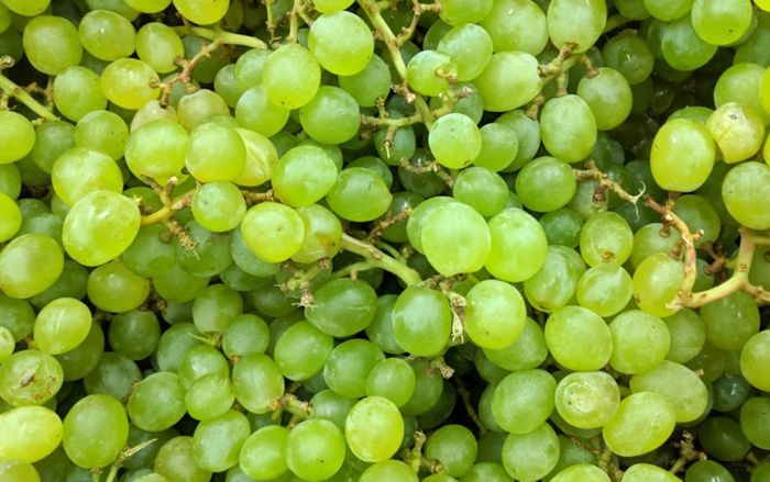 Ăn nho có làm tăng đường huyết không?