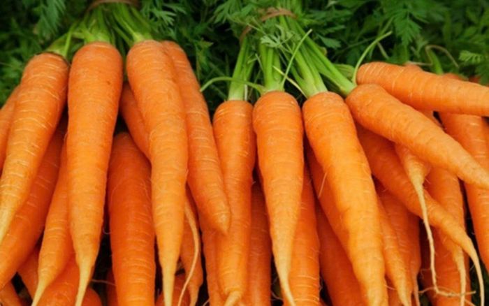 10 lợi ích cho sức khỏe khi ăn cà rốt thường xuyên