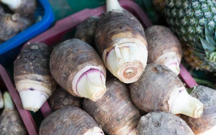 3 loại rau củ giàu canxi, tốt cho sức khỏe của xương