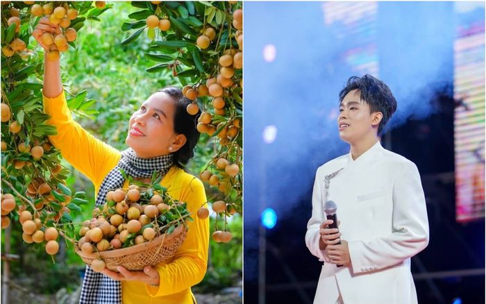 Quê nhà Hồ Văn Cường vào mùa trái chín, đi đâu cũng bắt gặp hương thơm miệt vườn