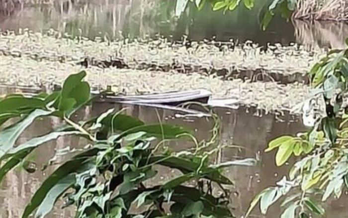 Cháu trai theo bạn đi bắt cá, ông nội gục ngã khi nhận tin dữ