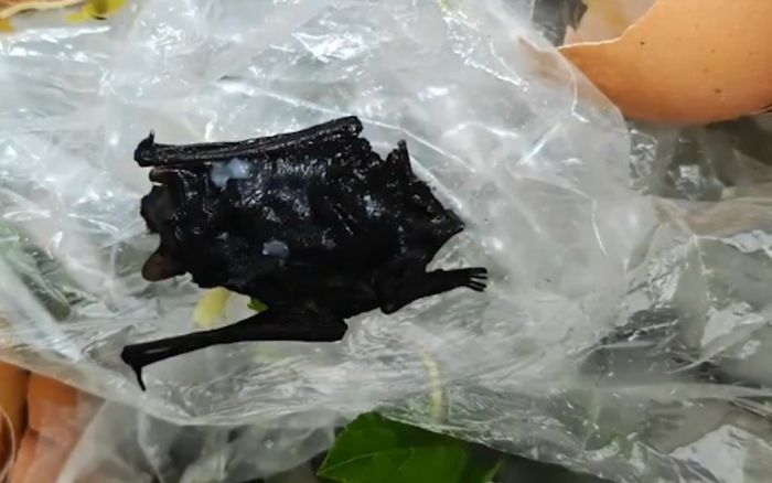 Đi ăn nhà hàng, bé trai nôn mửa sau khi phát hiện một thứ trong món ăn