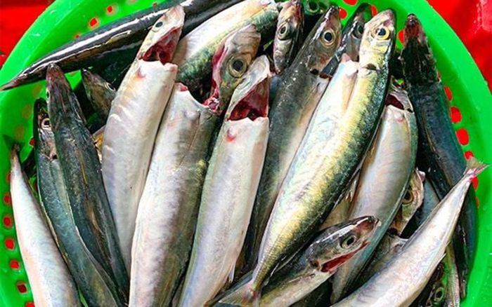 Loại cá được người miền Trung coi là 'lộc biển', khách du lịch ăn một lần rồi tìm mua mang về