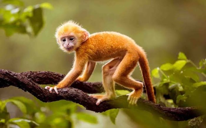 Sau nhiều tháng trầm lắng, 4 con giáp này sắp đón 'cú hích' bất ngờ