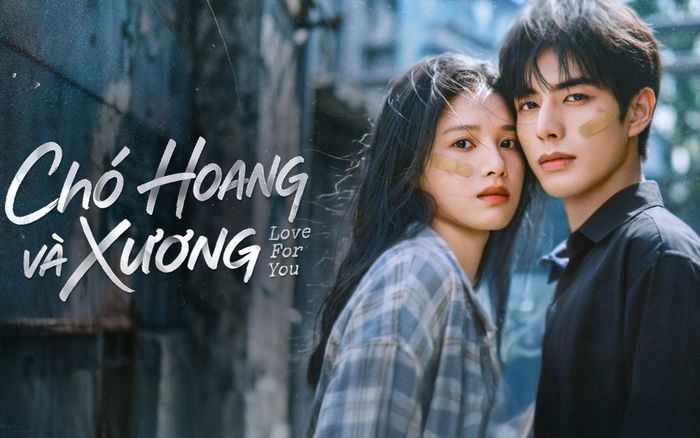 Tống Uy Long, Trương Tịnh Nghi gây xót xa trong Chó Hoang Và Xương
