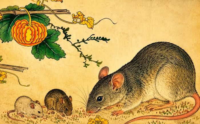 3 con giáp đang được Thần Tài gọi tên: Làm đâu thắng đó, tiền vào như nước