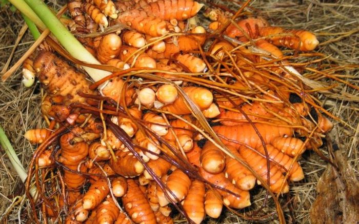 Gia vị trong căn bếp gia đình và những lợi ích sức khỏe