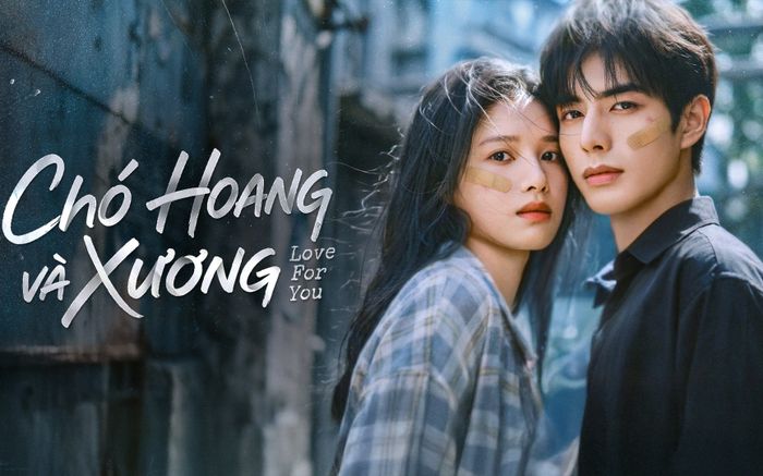 Chó Hoang Và Xương lập kỷ lục rating mở màn năm 2026