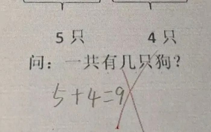 Bài toán '5 + 4 = 9' bị cô giáo gạch sai, đán án chính xác khiến nhiều người bất ngờ