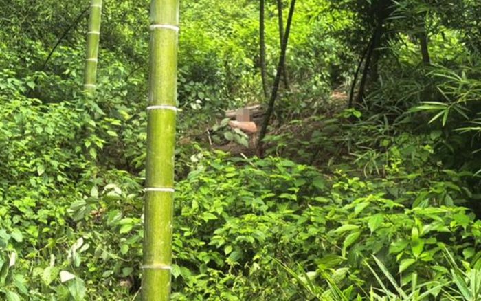 Cụ ông 76 tuổi mất tích suốt 14 tiếng, cảnh tượng khi được tìm thấy khiến con gái bật khóc