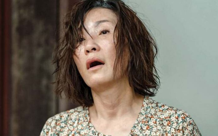 Nỗi lo của nghệ sĩ Hồng Đào