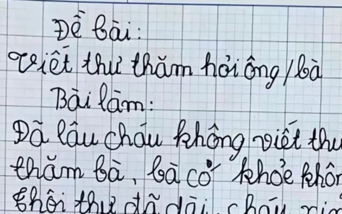 Học trò làm bài văn 'viết thư thăm bà' đúng 4 dòng khiến cô giáo phải 'cạn lời'
