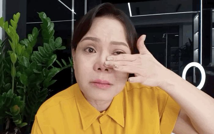 Buồn cho nghệ sĩ Việt Hương