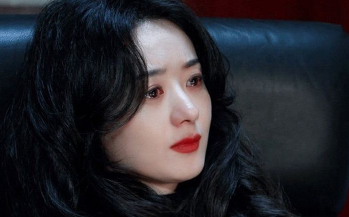 Triệu Lệ Dĩnh bị chỉ trích