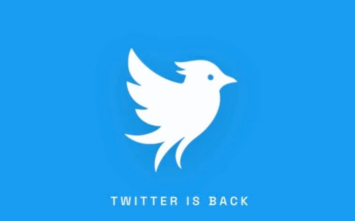Twitter bất ngờ trở lại, nhưng không thuộc về Elon Musk