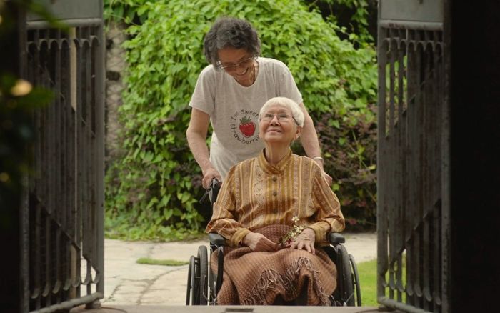 'Thư Tình Gửi Ngoại' lập thành tích đáng mừng tại Việt Nam