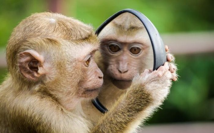 3 con giáp có khả năng “đọc vị” người khác khá nhanh