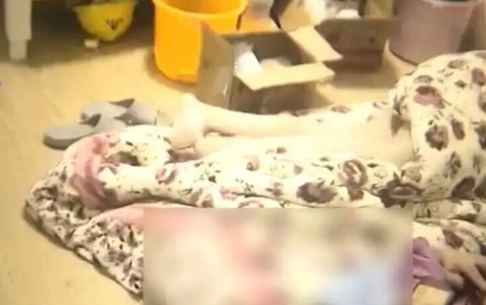 Chủ nhà 2 năm không bước vào căn hộ cho thuê, ngày trở lại chết lặng trước cảnh tượng bên trong