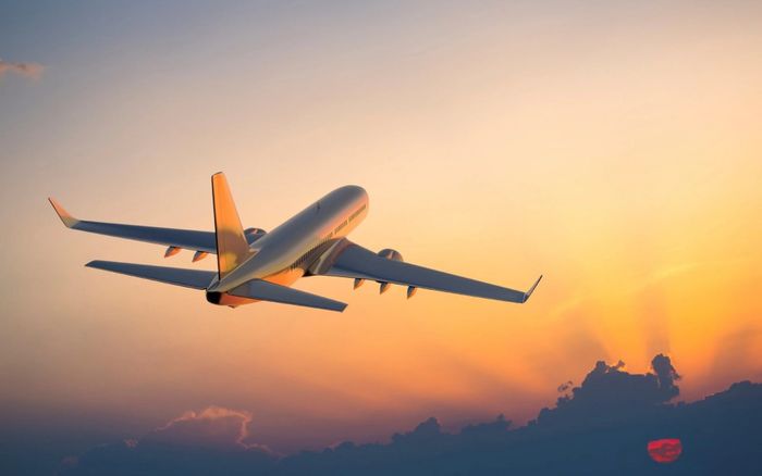 Tạm hoãn xuất cảnh: Những trường hợp người dân cần lưu ý