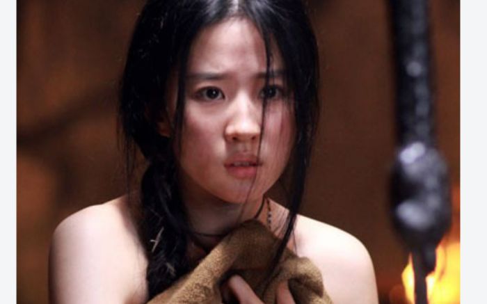 Lưu Diệc Phi nợ Lý Liên Kiệt một ân tình