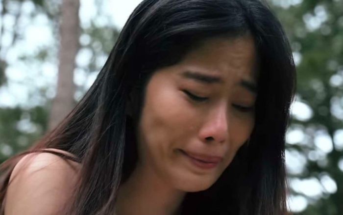 Người đàn ông khiến Nam Em tự nhận giống tiểu tam