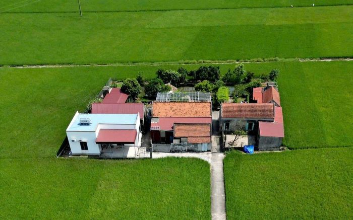 Chuyện lạ Ninh Bình, 'cả làng' chỉ 4 ngôi nhà nằm lọt thỏm giữa đồng lúa mênh mông đẹp hơn phim