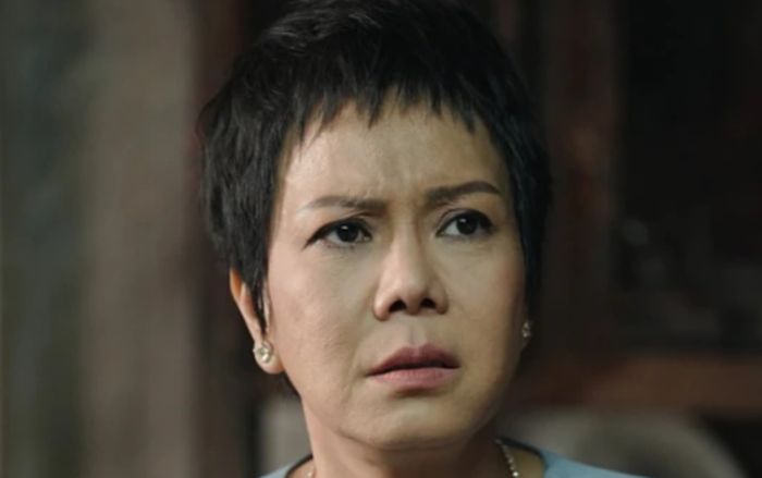 Nghệ sĩ Việt Hương bị thay thế