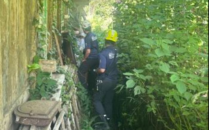 Nghe tiếng kêu cứu yếu ớt trong rừng, cảnh sát tìm kiếm rồi phát hiện cảnh tượng bất ngờ