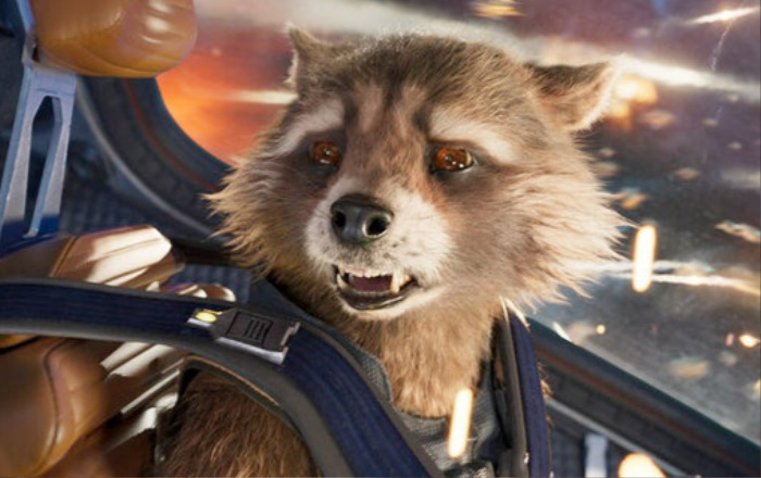 Marvel sẽ để Rocket Raccoon hy sinh trong Guardians of the Galaxy 3?