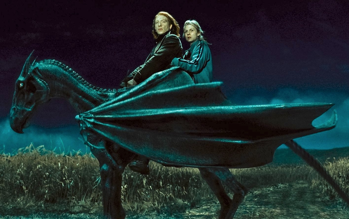 Tìm hiểu về Vong Mã - loài sinh vật huyền bí có vẻ ngoài chết chóc trong Harry Potter