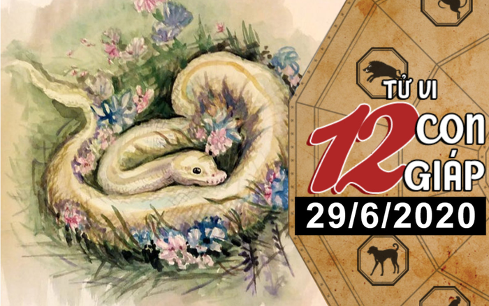 Tử vi thứ 2 ngày 29/6/2020 của 12 con giáp: Tỵ chớ thức khuya, Mùi không có chí tiến thủ