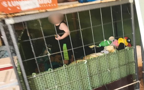 Bé trai bị mẹ ruột nhốt trong chuồng chó, sống chung với hơn 600 con vật