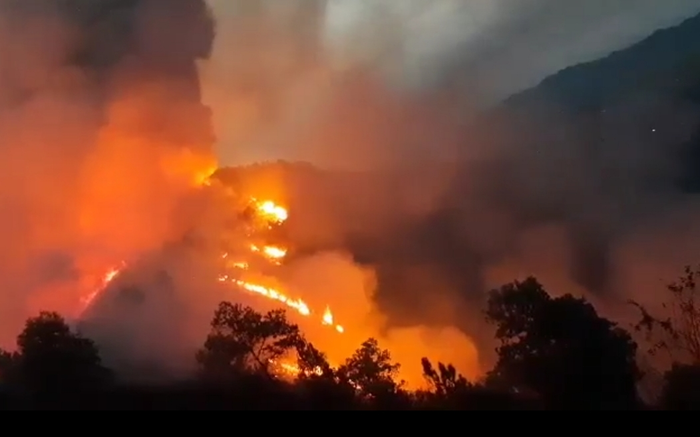 Người dân Hà Tĩnh và Nghệ An trắng đêm khống chế cháy rừng