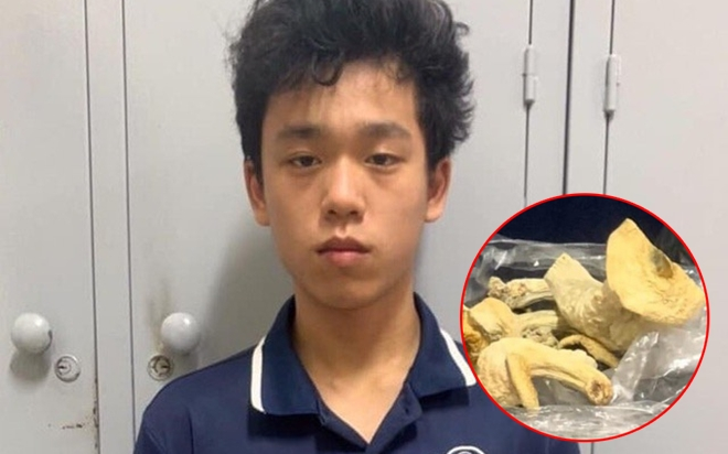 Khởi tố nam sinh trường ĐH Bách khoa trồng nấm thức thần’, chế biến bán với giá 500 nghìn mỗi lát