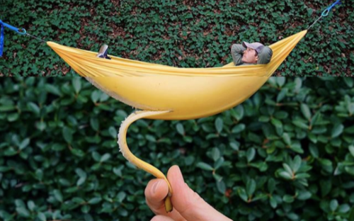 Loạt hình ảnh 'gây lú' ai cũng nghĩ là kết quả của Photoshop