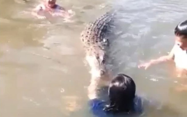 Thấy con bơi lội, vui chơi với cá sấu trên sông, người cha có hành động khiến cư dân mạng ngao ngán