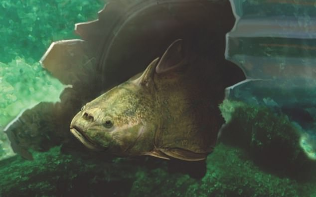 Cá thời tiền sử đã có hàm răng tương tự con người