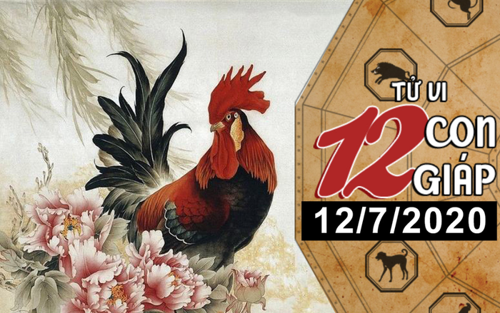 Tử vi chủ nhật ngày 12/7/2020 của 12 con giáp: Mão tiền ra nhỏ giọt, Dậu có khoản thu nhập bất ngờ