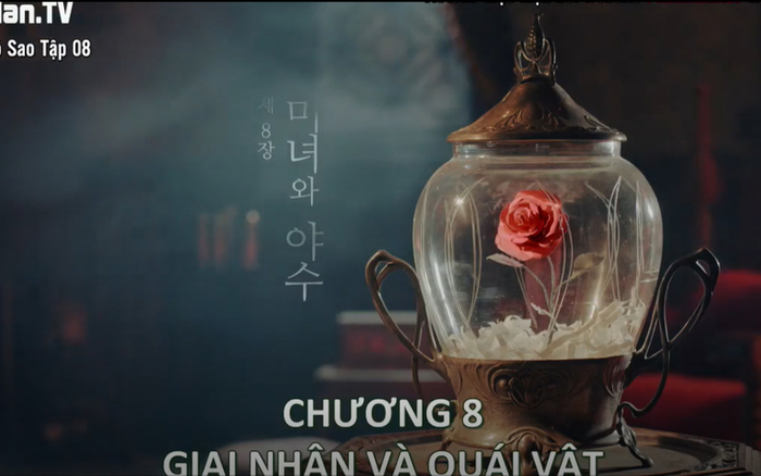 Điên thì có sao (It’s okay to not be okay): Câu chuyện Giai nhân và quái vật ở một góc nhìn khác thì Bella bị ảo tưởng về tình yêu thuần khiết