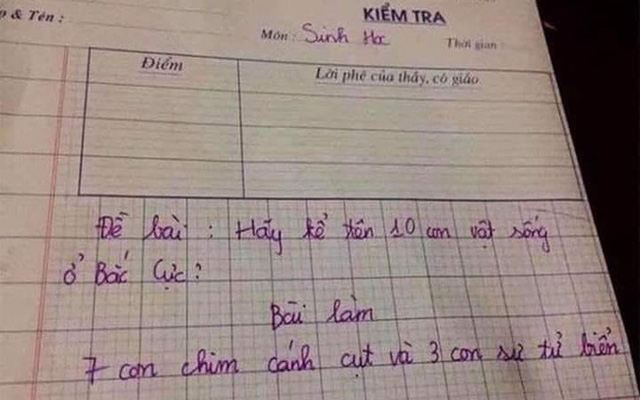 Câu trả lời đầy bất ngờ của học sinh khi được cô giáo yêu cầu 'kể tên 10 con vật sống ở Bắc Cực'