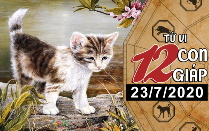 Tử vi thứ 5 ngày 23/7/2020 của 12 con giáp: Mão dễ phạm phải sai lầm, Tỵ có thể được tỏ tình bất ngờ