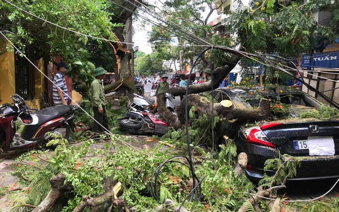 2 cành phượng hơn 70 năm tuổi ở Hải Phòng gãy đổ đè trúng nhiều xe máy và ô tô ven đường