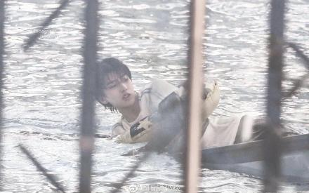 Fan của Thái Từ Khôn được gọi là người cố gắng nhất thế giới: Leo núi trèo cây xuống biển không gì là không thể