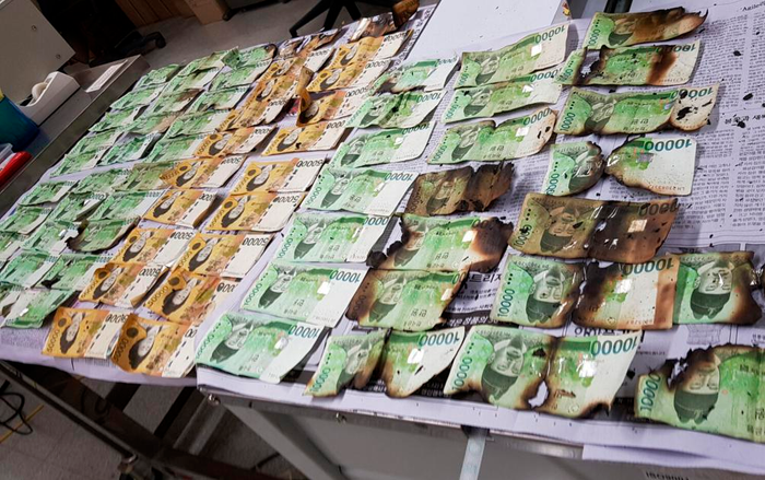 Cho tiền giấy vào lò vi sóng và máy giặt khử trùng virus corona, nhận lại cái kết 'đắng'